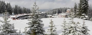Hotels with Pools in Pamporovo