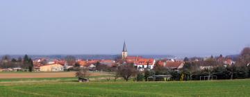 Hotels with Parking in Groß-Umstadt