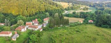 Habitaciones en casas particulares en Guča