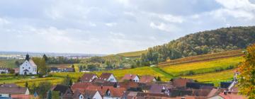 Hotell i Gleiszellen-Gleishorbach