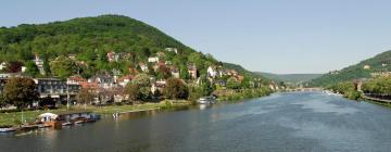 Apartments in Eberbach