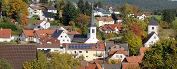 Hotel dengan parkir di Wald Michelbach