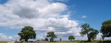 Cottages in Hayfield