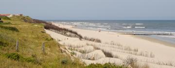 Beach rentals in Noordwelle