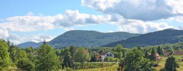 Guest Houses in Grabovac