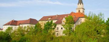 Hotel di Kranj