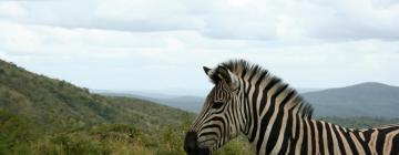 Lodges in Hluhluwe