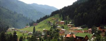 Cottages in Ayder Yaylasi