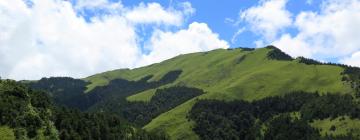 Asrama di Longjing