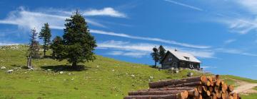 Holiday Homes in Döbriach