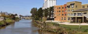 Apartments in Novato