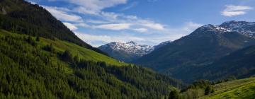 Ferienwohnungen in Ried im Zillertal