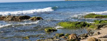 Alquileres vacacionales en Torrox