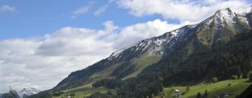 Ski Resorts in Hirschegg