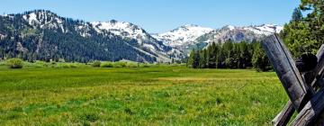 Pet-Friendly Hotels in Olympic Valley