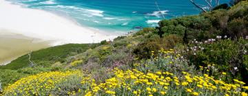 Hoteles en Noordhoek