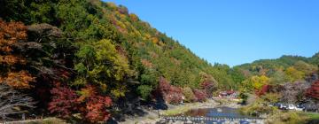 豊田市のホテル