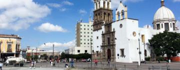 Hotels in Irapuato