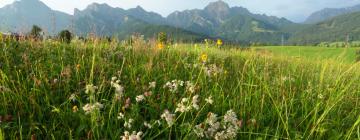 Hostales y pensiones en Hopfgarten im Brixental