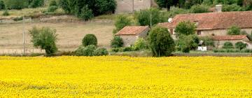 Cottages in Nanteuil-de-Bourzac