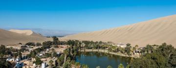 Hotel Mesra Haiwan Peliharaan di Laguna Huacachina