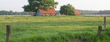 Goedkope hotels in Adelebsen