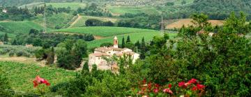 Holiday Rentals in Montefiridolfi