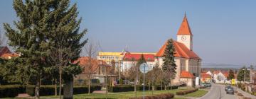 Hoteles económicos en Ostrožská Nová Ves
