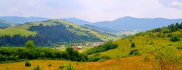 Pet-Friendly Hotels in Richka