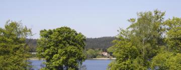 Cottages in Låsby