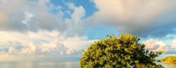 Cabañas en Lower Matecumbe Beach