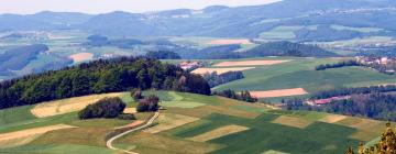 Hotelek Sankt Lorenzen ob Murauban