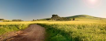 Guest Houses in Durbanville