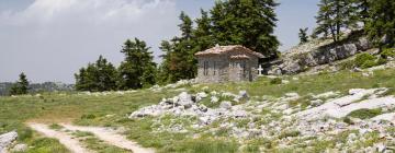 Chalets de montaña en Eptalofos