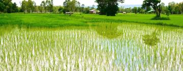 Отели с парковкой в городе Ban Phang Khwang Tai