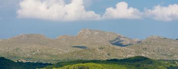 Cottages in Sineu