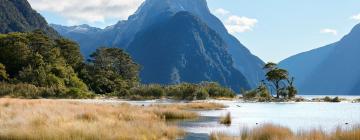 Hotels in Milford Sound