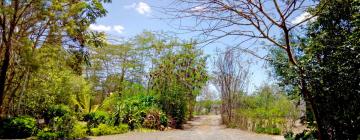 Apartments in Kitengela 