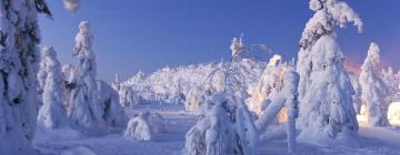 Vacation Rentals in Jokijärvi