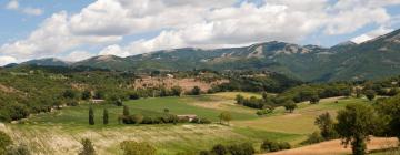 Hotels in Artena