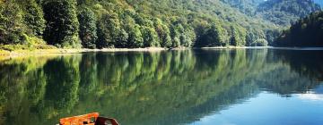 Cabins in Mojkovac