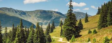 Hoteluri cu parcare în Rodna