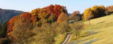 Hoteles con parking en Maria Laach am Jauerling