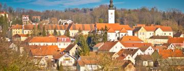 Hotels in Varaždinske Toplice