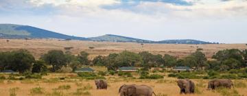 Luxury Tents in Ololaimutiek