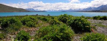 Khách sạn ở Lake Tekapo