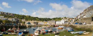 Pet-Friendly Hotels in Mevagissey
