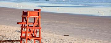 Pet-Friendly Hotels in Daytona Beach Shores