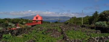 Apartments in Madalena