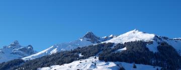 Séjours au ski à Gryon